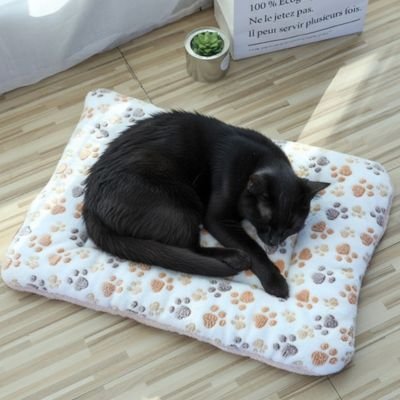 chat noir fait sieste sur Tapis chat blanc pattes oranges 