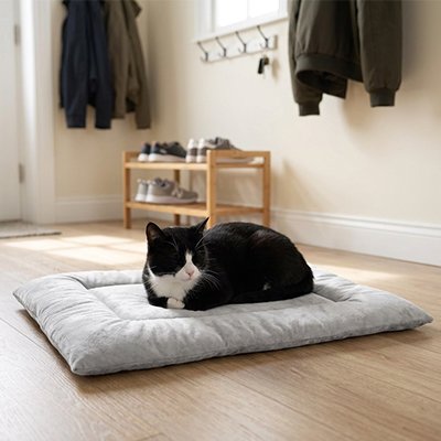 chat noir sur Tapis Chat gris dans l'entrée 