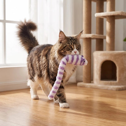 chat porte dans sa gueule Jouet Chat interactif souris 