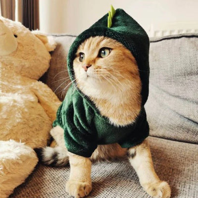 chat porte Déguisement pour Chat dragon avec capuche sur tête 