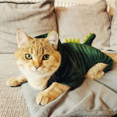 chat porte Déguisement pour Chat dragon couché sur canapé