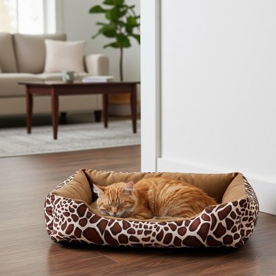 chat qui dort dans Panier pour Chat dans entrée