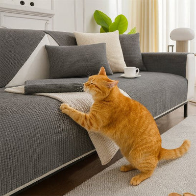 chat roux fait griffes sur Protection canapé chat gris anthracite 