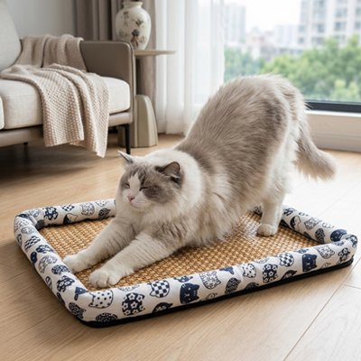 chat s'étire sur Tapis rafraichissant Chat blanc dans salon