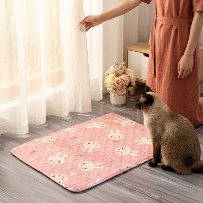 chat siamois et femme regardent Tapis rafraichissant Chat devant fenêtre