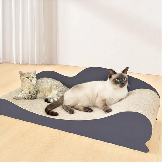 Chat siamois sur le griffoir lit premium