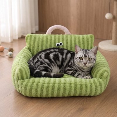 chat tigré couché sur Canapé pour chat vert dans salon