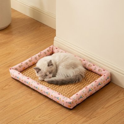 chaton dort Tapis rafraichissant Chat dans salon 