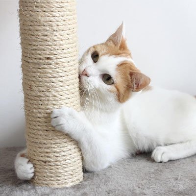 Corde pour arbre à chat idéal en remplacement | RobustNature - Chatjoue