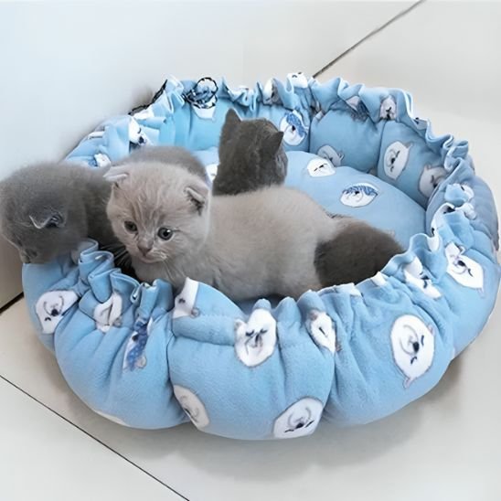 coussin chat bleu avec des ours
