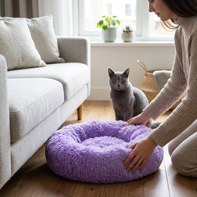 Coussin Chat de belle couleur violet
