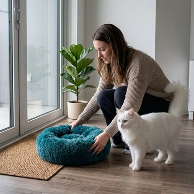 Coussin Chat d'un beau vert foncé