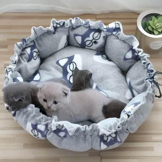 coussin chat gris avec des renards