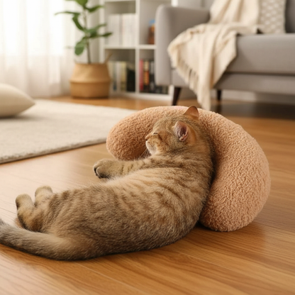 Coussin chat marron  chat tabby salon