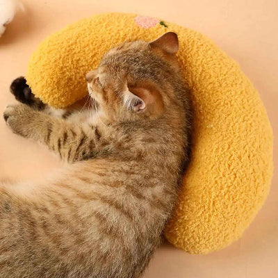 Coussin chat petit plaisir