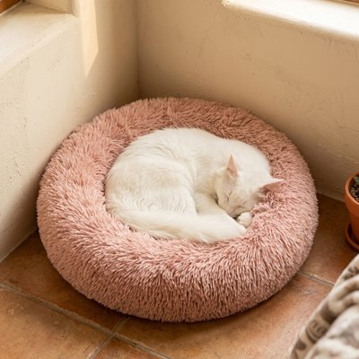 Coussin pour Chat 3 couleurs disponibles 