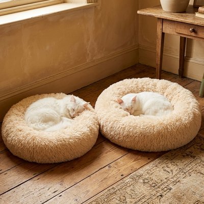 Coussin pour Chat 3 tailles disponibles 