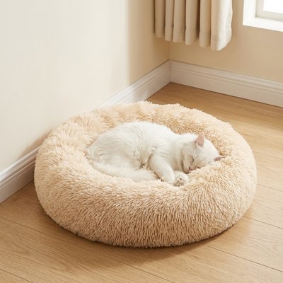 Coussin pour Chat beige doré