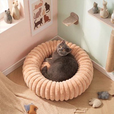 Coussin pour Chat dans angle et chartreux couché dedans