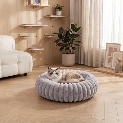 Coussin pour Chat dans salon et chat couché dedans