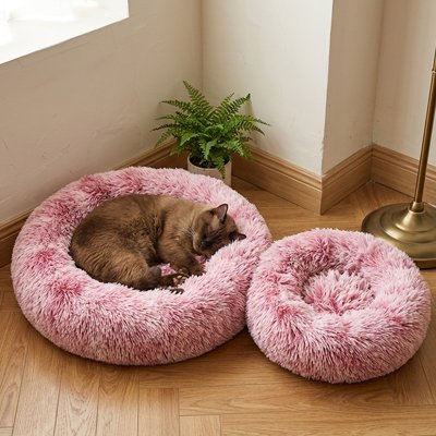 Coussin pour Chat existe en 3 dimensions