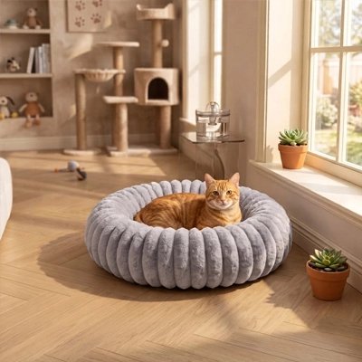 Coussin pour Chat gris et chat couché devant fenêtre 