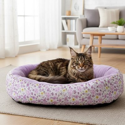 Coussin pour chat mauve et chat angora dans salon