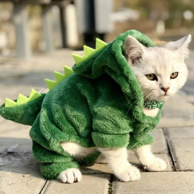 Déguisement pour Chat dragon sur chat assis sur perron
