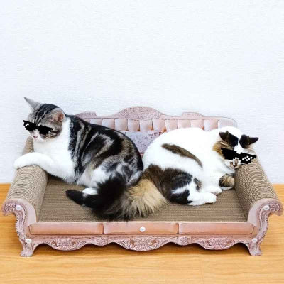 deux chats couchés sur canapé pour chat 