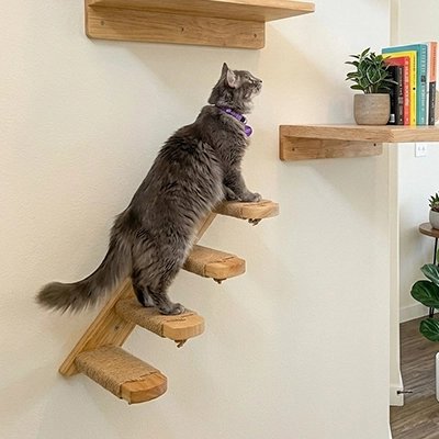 Escalier pour chat 4 marches 