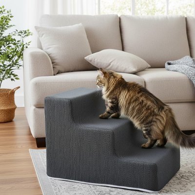 Escalier pour chat avec chat qui monte dessus 