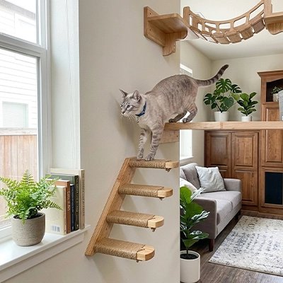 Escalier pour chat de gauche à droite 