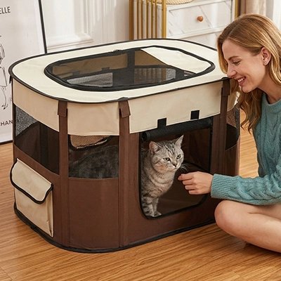 femme caresse chat dans Parc pour Chat dans salon