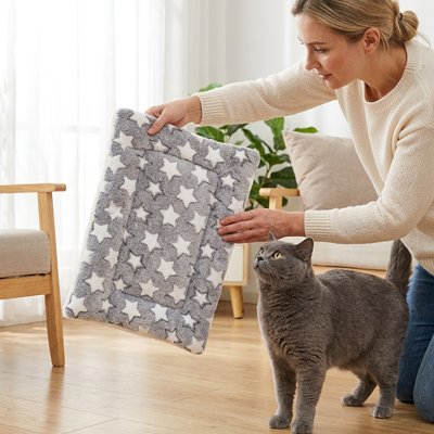femme installe Tapis Chat pour chat gris près fauteuil salon