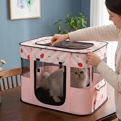 femme prépare Parc pour Chat avec chat dedans pour transport