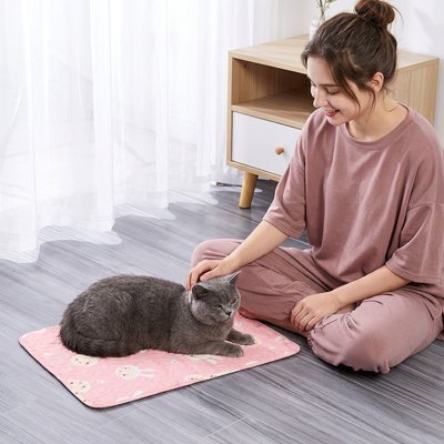 femme près Tapis rafraichissant Chat rose chat gris couché dessus