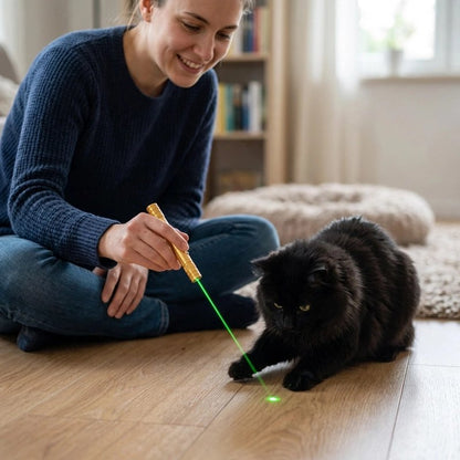 femme tient Laser pour chat or chat noir essai attraper 