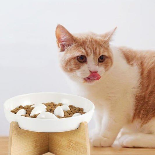 gamelle anti glouton chat bal en céramique