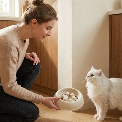Gamelle anti glouton Chat base stable de 18.4 cm 