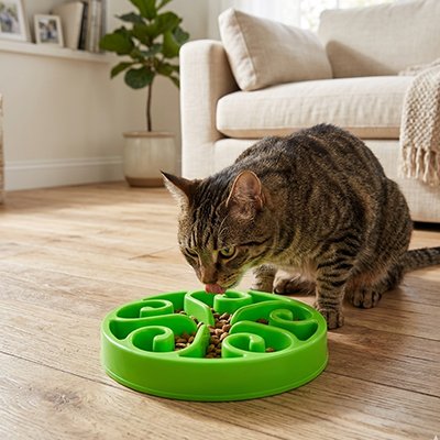 Gamelle anti glouton Chat base stable 