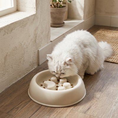 Gamelle anti glouton Chat de couleur beige