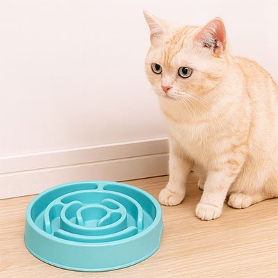 Gamelle anti glouton chat de couleur bleu