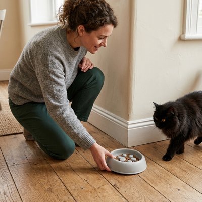 Gamelle anti glouton Chat de couleur gris 