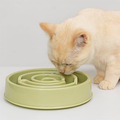 Gamelle anti glouton chat de couleur verte