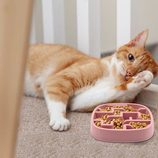 Gamelle anti glouton chat design labyrinthe