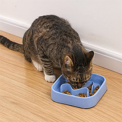 Gamelle anti glouton Chat en forme carré bleu