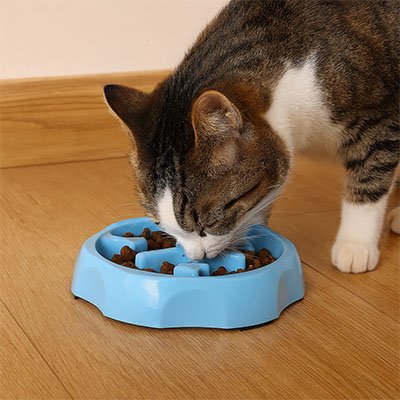 Gamelle anti glouton Chat en forme ronde bleu