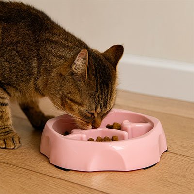 Gamelle anti glouton Chat en forme ronde rose