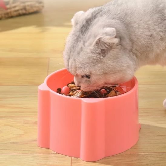 Gamelle anti glouton chat évite les vomissements