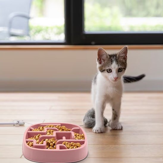 Gamelle anti glouton chat existe en 3 coloris